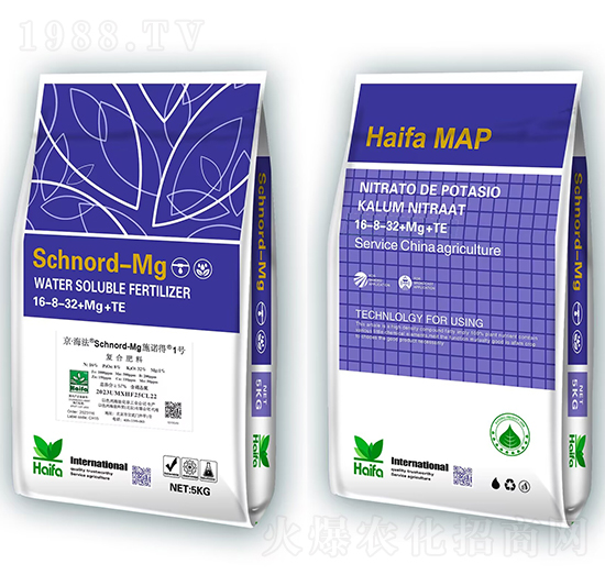 ʩ�Z��1̖16-8-32+Mg+Te-�������Q