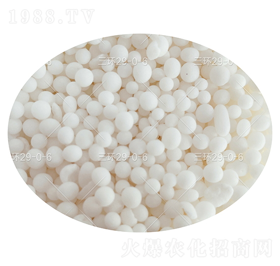 �������ܵι���(f��)�Ϸ��ϣ��w����29-0-6-���h(hu��n)-���컯�r(n��ng)�Y