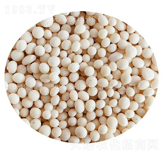 ��(f��)�Ϸ��ϣ��w����18-18-18-���v-���컯