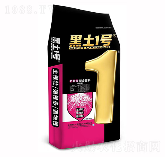 ����������ԏͺϷ���-����1̖