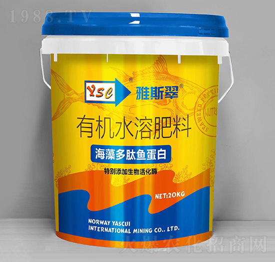 ��������~(y��)����-��˹��