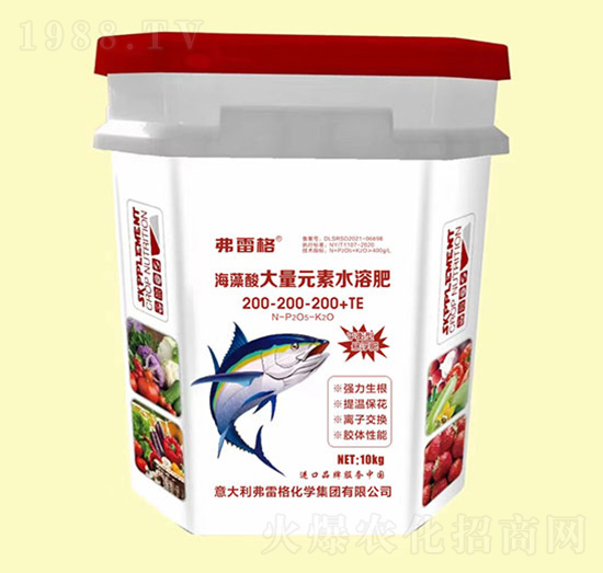 �������~����200-200-200+TE-���׸�