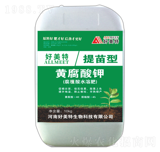 �������S�����-������