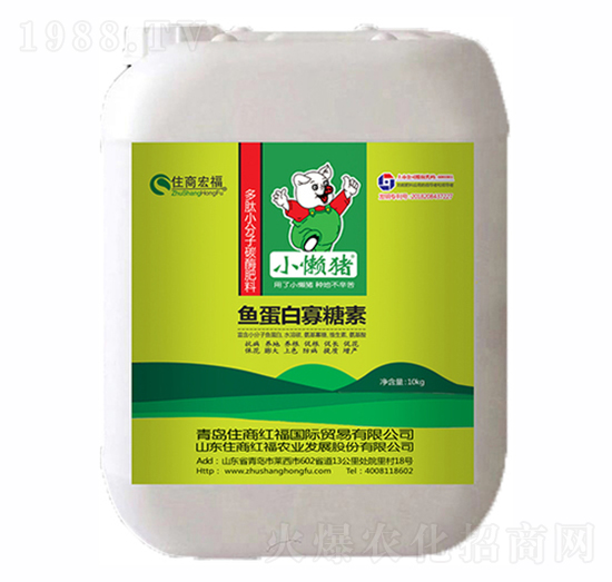 �~���׹�����-С���i-ס�̇��H