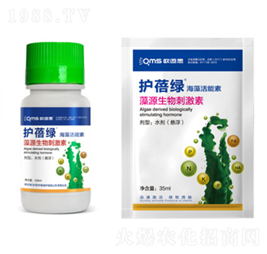 �o���G-���������-�W�~˼�r�I(y��)