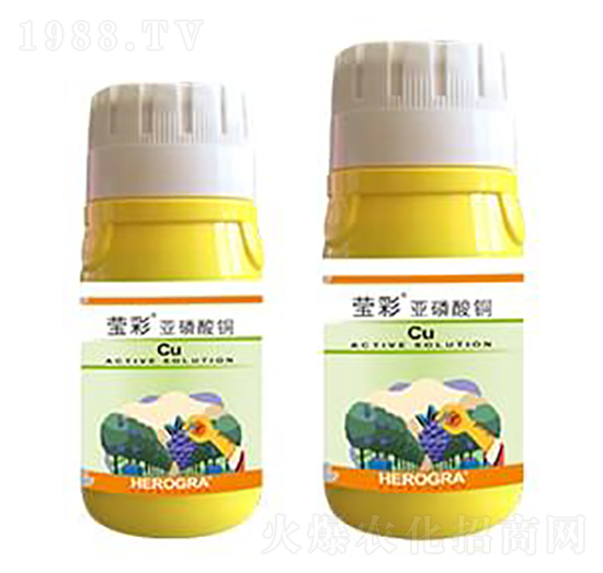 ����-���r(n��ng)�A