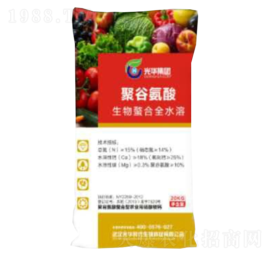 �۹Ȱ���-�����@�}-���A�r��