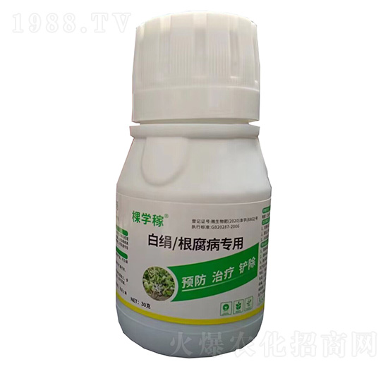 �׽�/����������-�ÌW(xu��)��