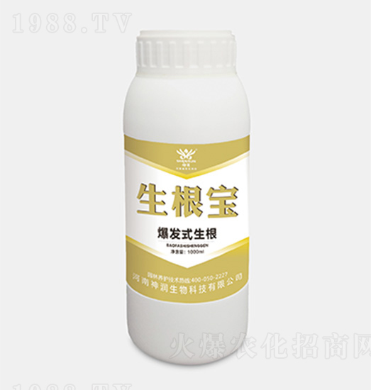 �����������l(f��)ʽ������-��(r��n)����