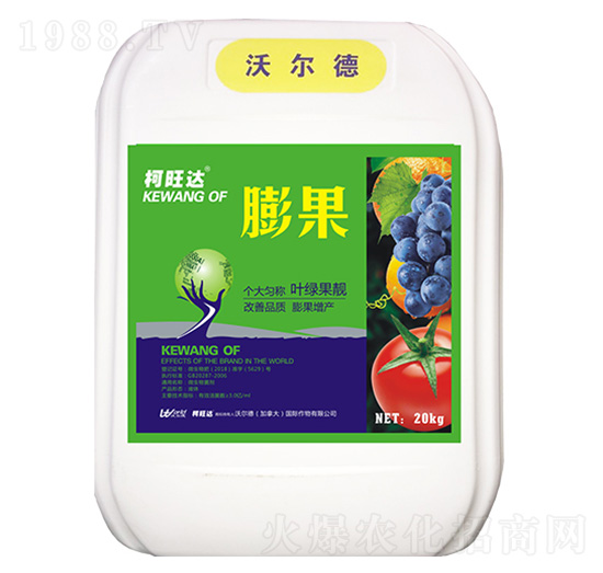 ���-�����_(d��)-�֠����r(n��ng)�I(y��)