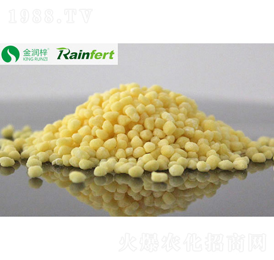 �����@�w�����S��-��(r��n)��