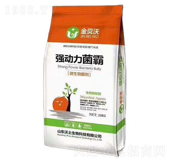 ����������-��ؐ��-����