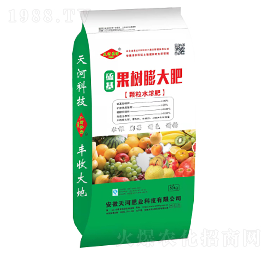 �����������-��ӷʘI(y��)