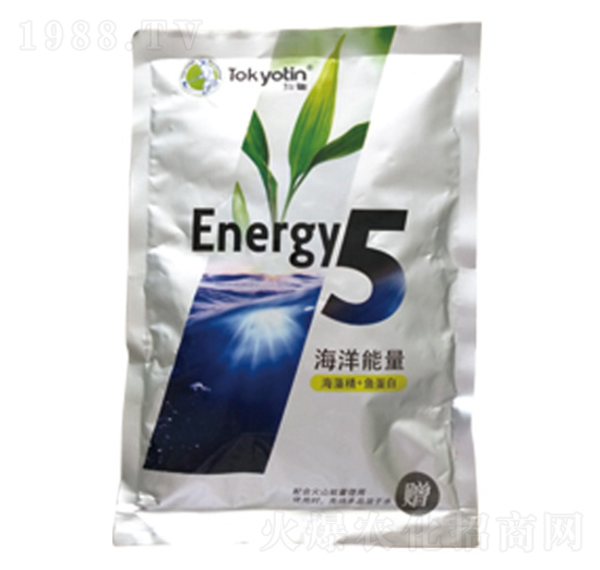 ���徫+�~(y��)����-��������5-�����r(n��ng)�I(y��)