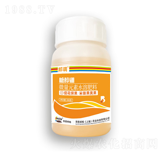 �Ǵ���-���{-�ڶ����