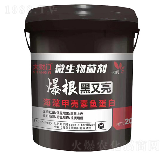 ����������΢�������-��ؔ�T-��ķ