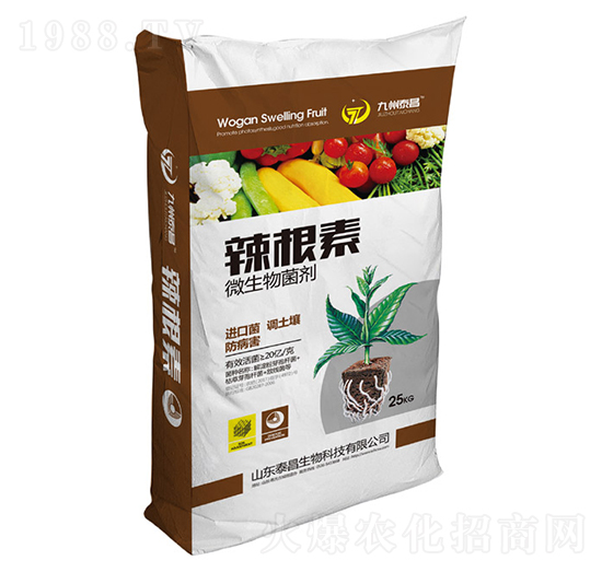 ������΢�������-��̩����