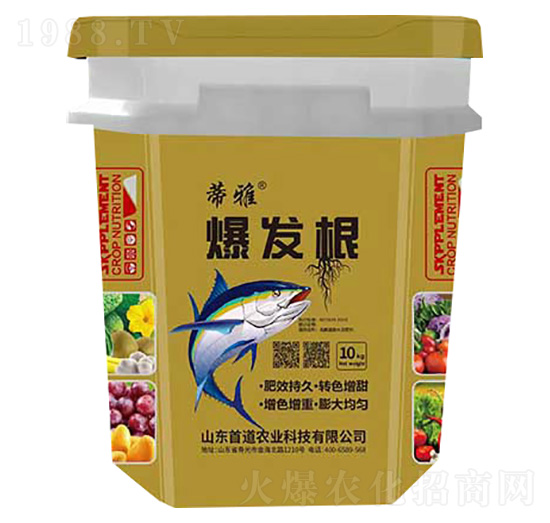 ���l(f��)��-����-�׵��r(n��ng)�I(y��)