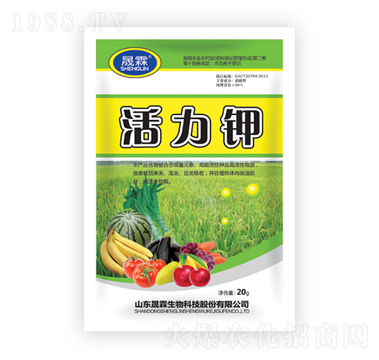 �����-��������