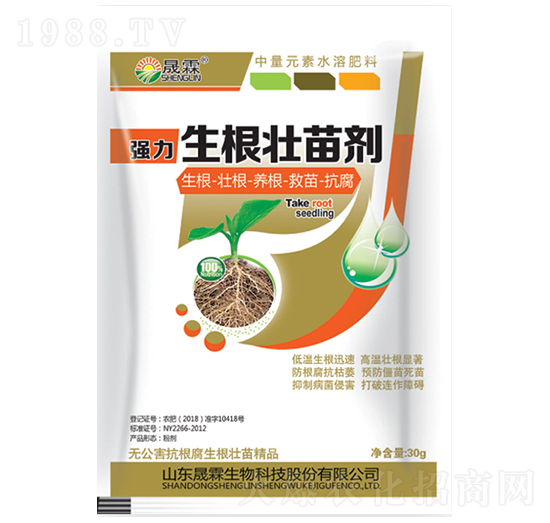 �������焩-��������