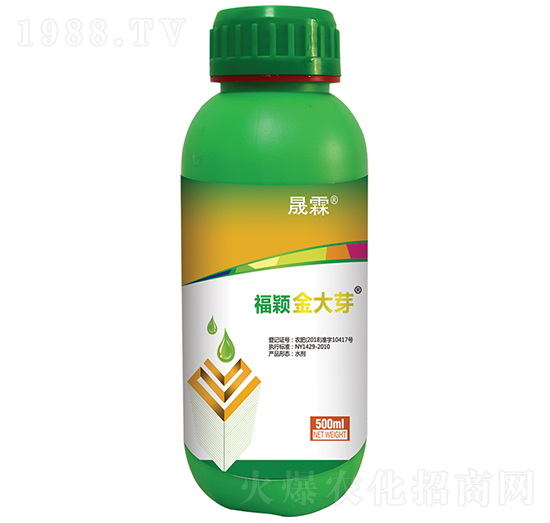 ���f�����ѿ-��������