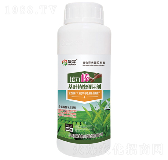 ���������~���۴�ѿ��-��������