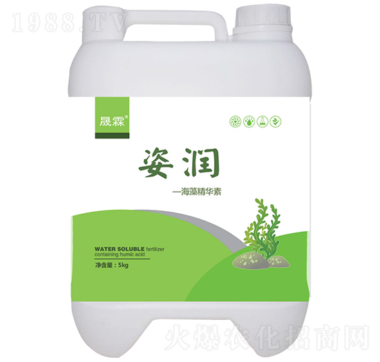 �˝����徫�A��-��������