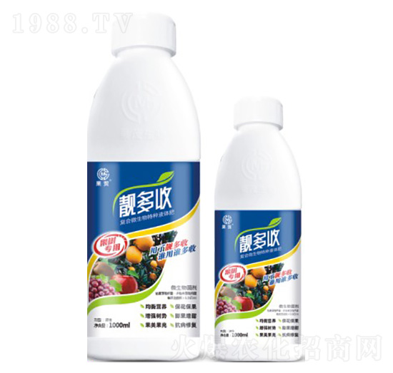 �n���ա����䌣�á�-��ï����