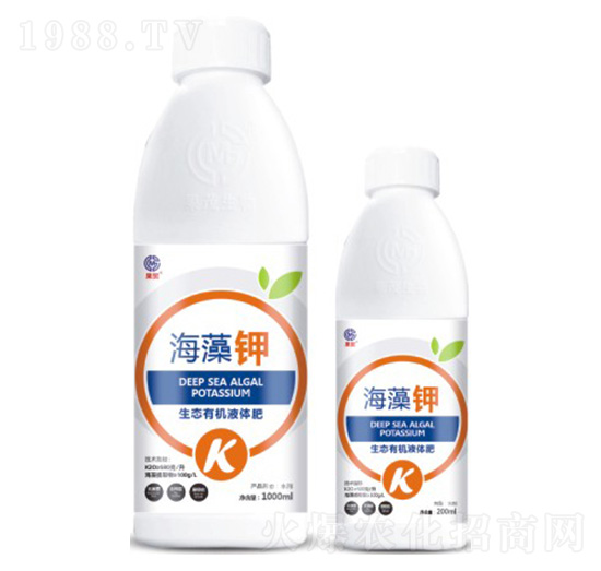 �����-��ï����