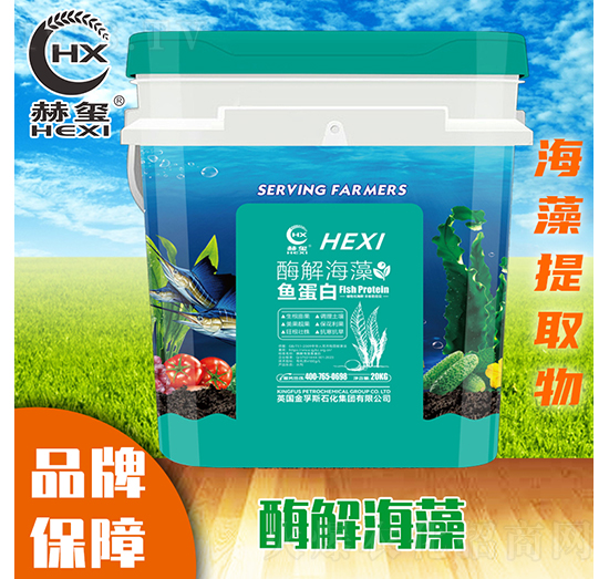 ø�⺣���~����-�խt