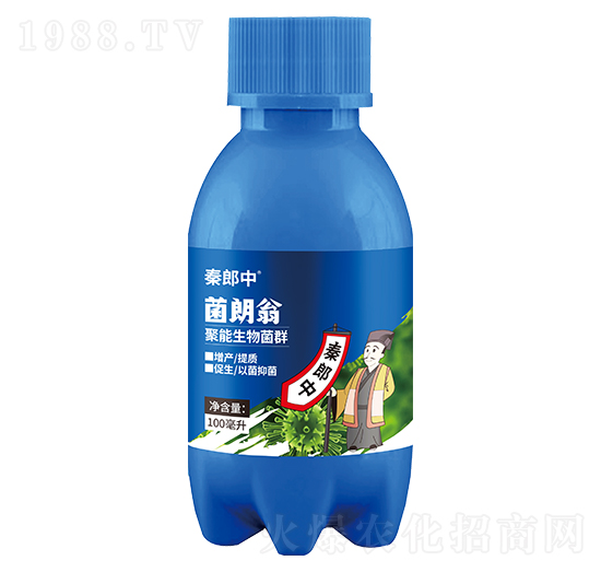 ���������Ⱥ-������-������-��������