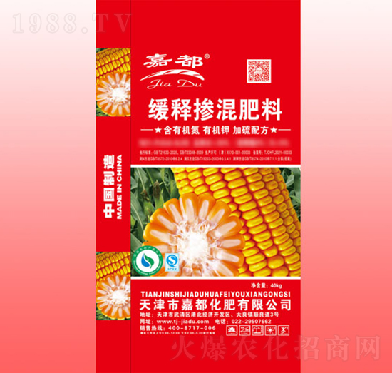 ��ጓ������-�ζ�