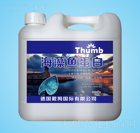 �����~����-����r(n��ng)�I(y��)