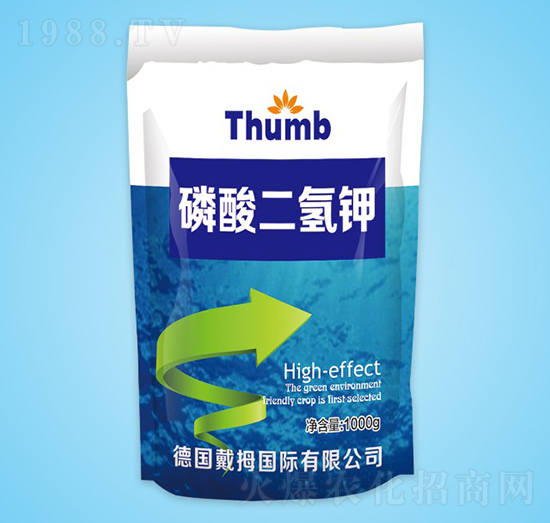 1000g��������-����r�I(y��)