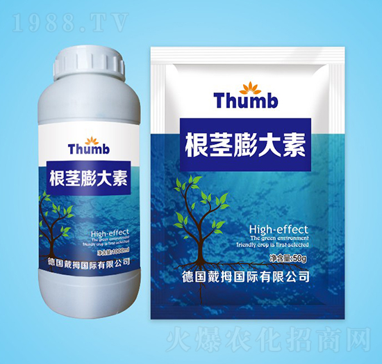 ���o�����-����r(n��ng)�I(y��)