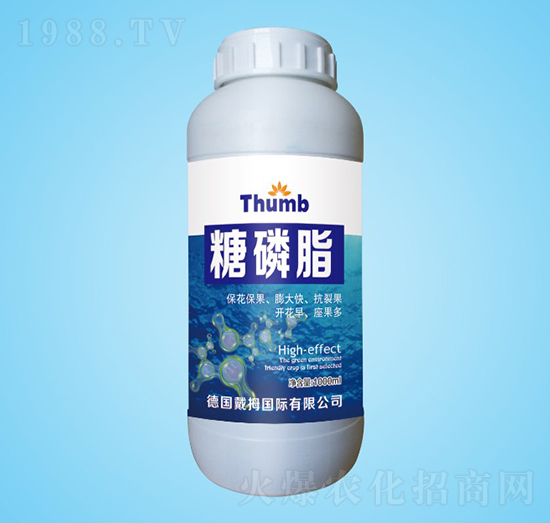 ����֬-����r(n��ng)�I(y��)