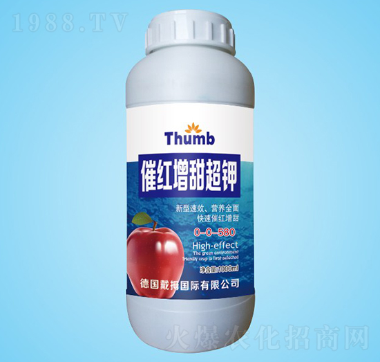 �߼t�����-����r�I(y��)