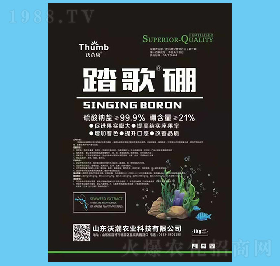 ̤����-������-����r(n��ng)�I(y��)