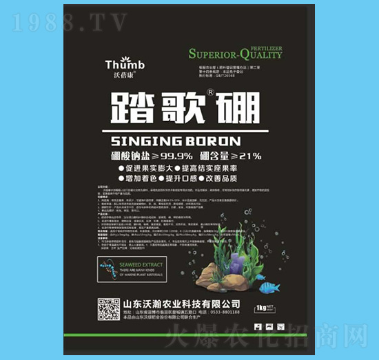 ̤�衤��-������-����r(n��ng)�I(y��)