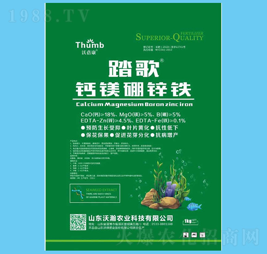 ̤�衤�}�V���\�F-������-����r(n��ng)�I(y��)