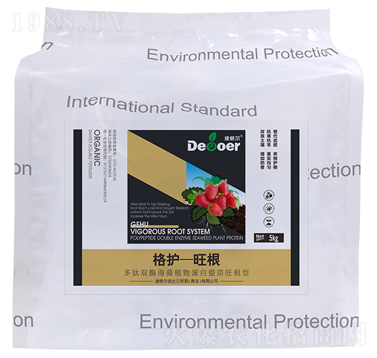 ���o-����-�ϸ�