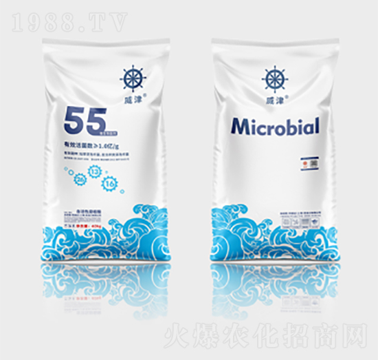 ����ɭ΢�������55��