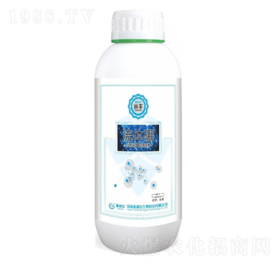 ���w��-��(r��n)�S-̩����