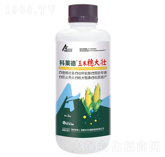 ��������-���R��-��¶�����S