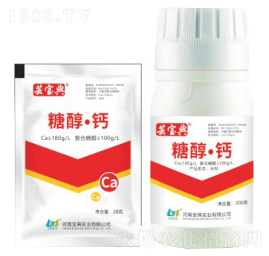 �Ǵ����}-�|����-���䌍�I(y��)