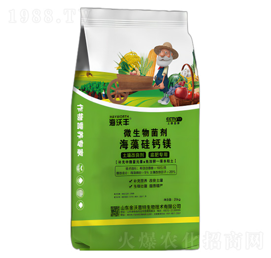 ΢�������-������}�V-�����S-�����_����