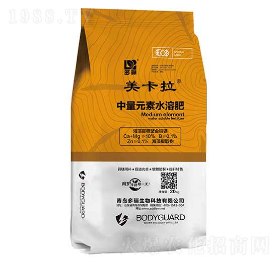 ������������}�V-������-���P