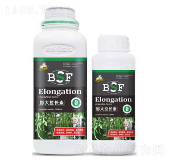 ������L��-��˹��