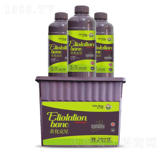 �S������-�۶�����