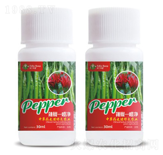 ����һ����-��(��i)������